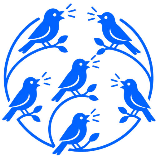 The Natter Network